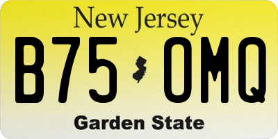 NJ license plate B75OMQ