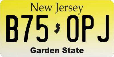 NJ license plate B75OPJ
