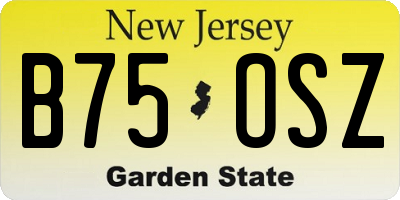 NJ license plate B75OSZ