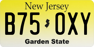 NJ license plate B75OXY