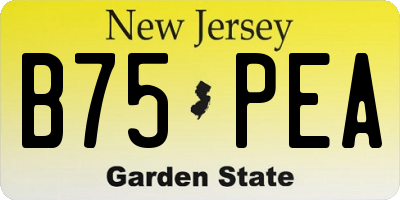 NJ license plate B75PEA