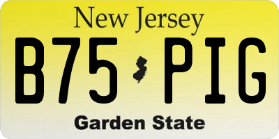NJ license plate B75PIG