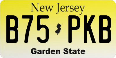 NJ license plate B75PKB