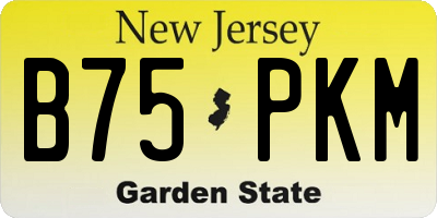 NJ license plate B75PKM