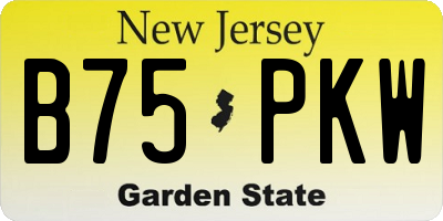 NJ license plate B75PKW