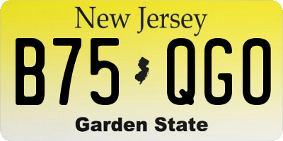 NJ license plate B75QGO