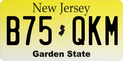NJ license plate B75QKM