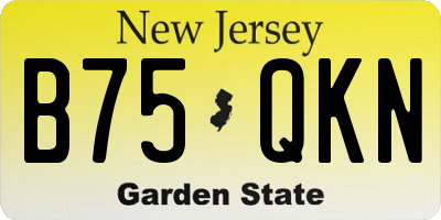 NJ license plate B75QKN