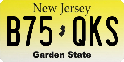 NJ license plate B75QKS