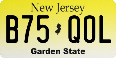 NJ license plate B75QOL