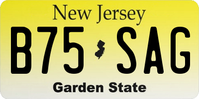 NJ license plate B75SAG