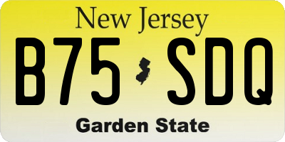 NJ license plate B75SDQ