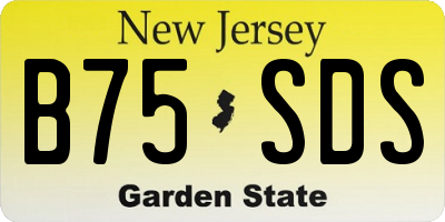 NJ license plate B75SDS