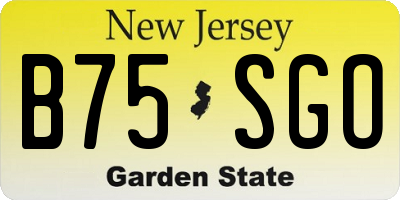 NJ license plate B75SGO
