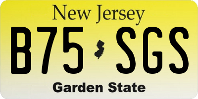 NJ license plate B75SGS