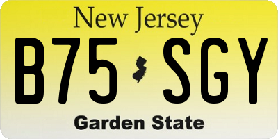 NJ license plate B75SGY