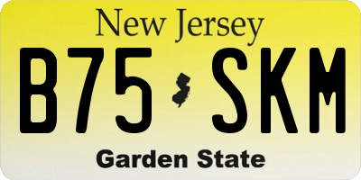 NJ license plate B75SKM
