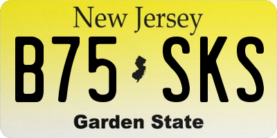 NJ license plate B75SKS
