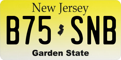 NJ license plate B75SNB