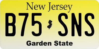 NJ license plate B75SNS