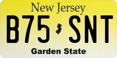 NJ license plate B75SNT