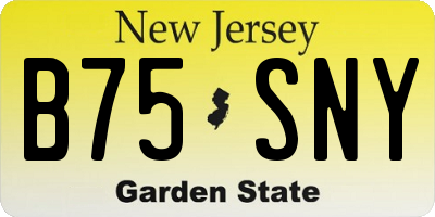 NJ license plate B75SNY