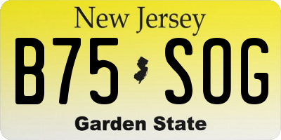 NJ license plate B75SOG