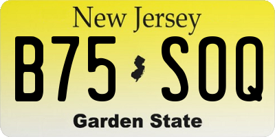 NJ license plate B75SOQ