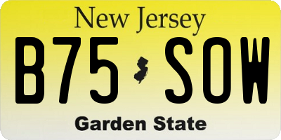 NJ license plate B75SOW