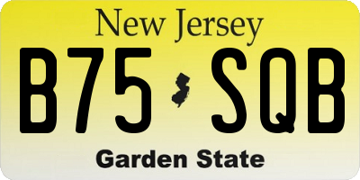 NJ license plate B75SQB