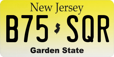 NJ license plate B75SQR
