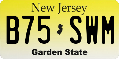 NJ license plate B75SWM