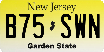NJ license plate B75SWN