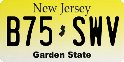 NJ license plate B75SWV