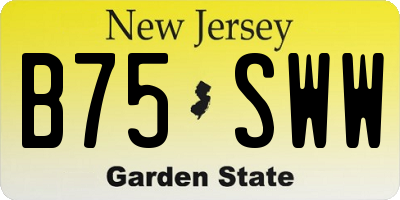 NJ license plate B75SWW