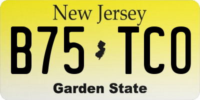 NJ license plate B75TCO