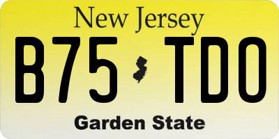 NJ license plate B75TDO