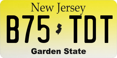 NJ license plate B75TDT