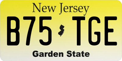 NJ license plate B75TGE