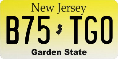 NJ license plate B75TGO