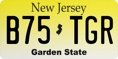 NJ license plate B75TGR