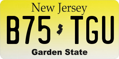 NJ license plate B75TGU