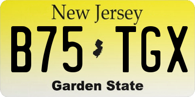 NJ license plate B75TGX
