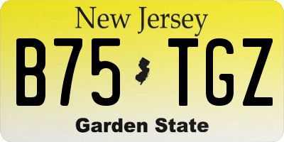 NJ license plate B75TGZ