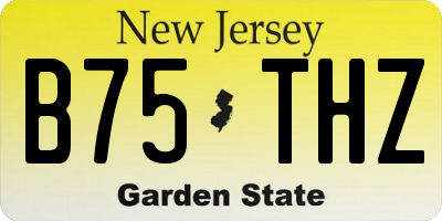 NJ license plate B75THZ