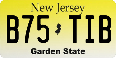 NJ license plate B75TIB
