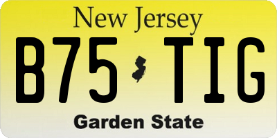 NJ license plate B75TIG