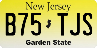 NJ license plate B75TJS