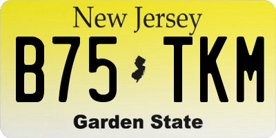 NJ license plate B75TKM