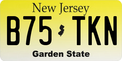 NJ license plate B75TKN